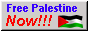 "Free Palestine NOW!!!" button with Palestinian flag