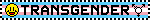 "TRANSGENDER" trans flag blinkie with smiley face and trans symbol