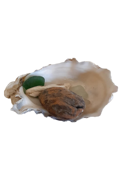 oyster shell with wood, sea glass, and smaller shell pieces inside
