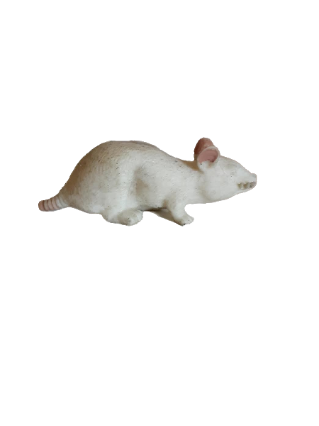 soft white rubber mouse with no eyes