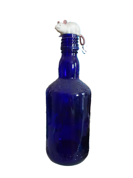 dark blue glass bottle with white rubber mouse on top