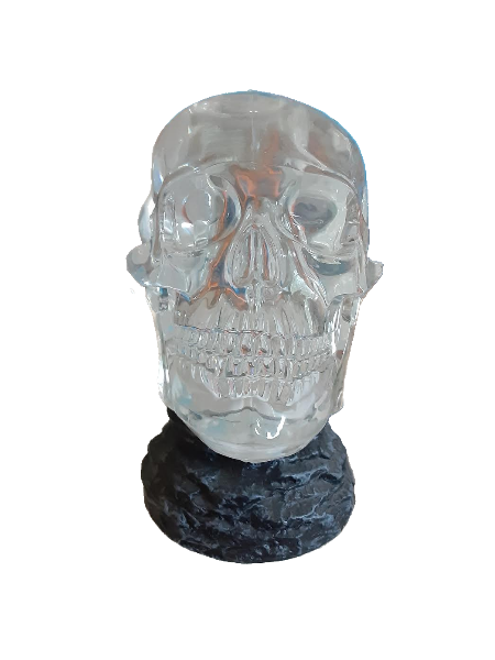 hard plastic skull on black base pedestal