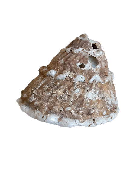 conical shell
