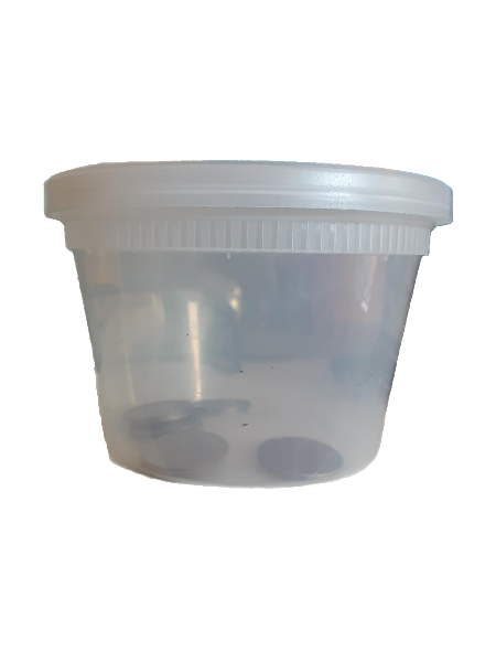 plastic deli container with coins in it